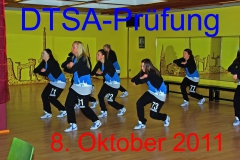 DTSA 2011
