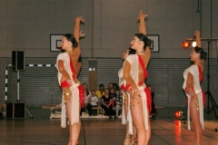 Dance_Night_2011_067