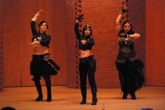 Arabiata_2010_019