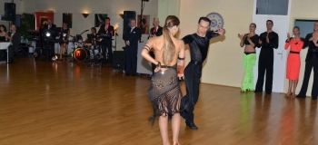 DSC_1433 Kopie