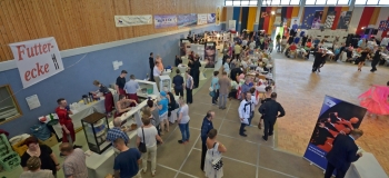 DSC_3310_bearbeitet-1