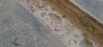 IMAG0354