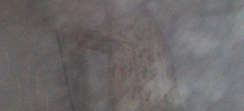 IMAG0358