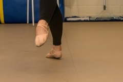 DSC03215