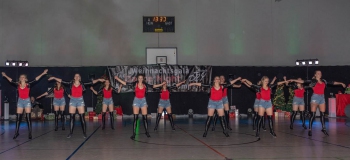 wgala19113 wgala19113