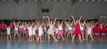 wgala19153 wgala19153