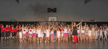 wgala19155 wgala19155