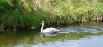 Ausflug-Tanzsp.Vatertag-05-101