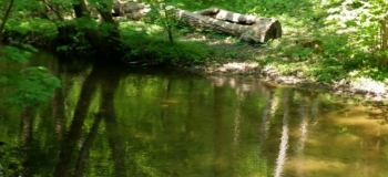 20180510_113406