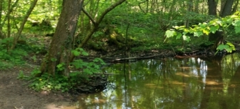 20180510_113418