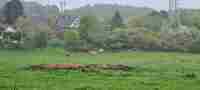 20210513_112151 20210513_112151