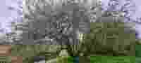 20210513_122009