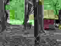 20210513_142837 20210513_142837