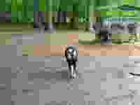 20210513_143504 20210513_143504