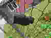 20210513_150310 20210513_150310