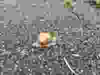 20210513_152838 20210513_152838