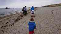 IMG-20210513-WA0004