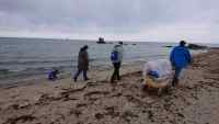 IMG-20210513-WA0008 IMG-20210513-WA0008