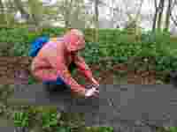 IMG-20210513-WA0012