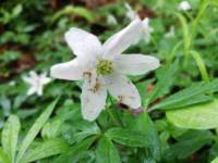 IMG-20210514-WA0032