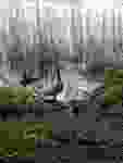 IMG-20210514-WA0070
