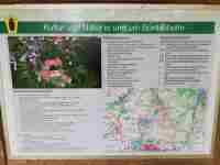 IMG-20210517-WA0055