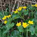 PHOTO_20210513_151309