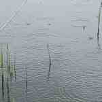 PHOTO_20210513_151506