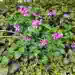PHOTO_20210513_155233