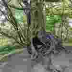 PHOTO_20210513_161326 PHOTO_20210513_161326