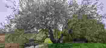 20210513_122009