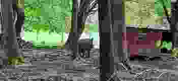 20210513_142837