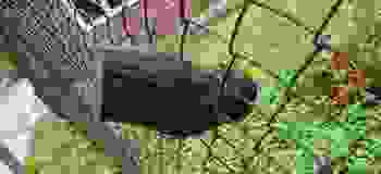 20210513_150310