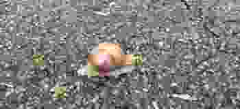 20210513_152838