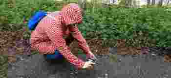 IMG-20210513-WA0012