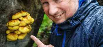 IMG-20210513-WA0030-01