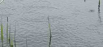 PHOTO_20210513_151506