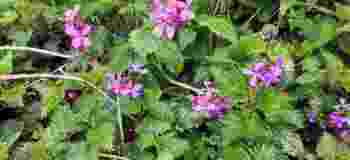 PHOTO_20210513_155233
