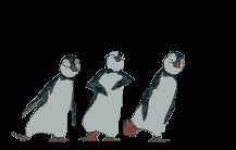 animal114