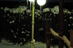 Jahresabschluss_2010_081