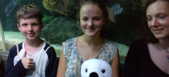 IMG_20180728_120701624_LL