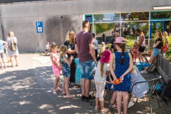 Sommerfest2313