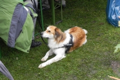 Sommerfest_PTSK_2011_009