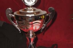 dtsapokal0702