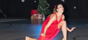 ADC 2017 Weihnachtsgala (29)