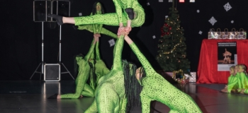 ADC 2017 Weihnachtsgala (46)