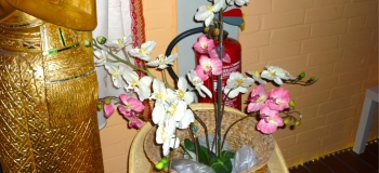 tik_dt_thai_2012_060